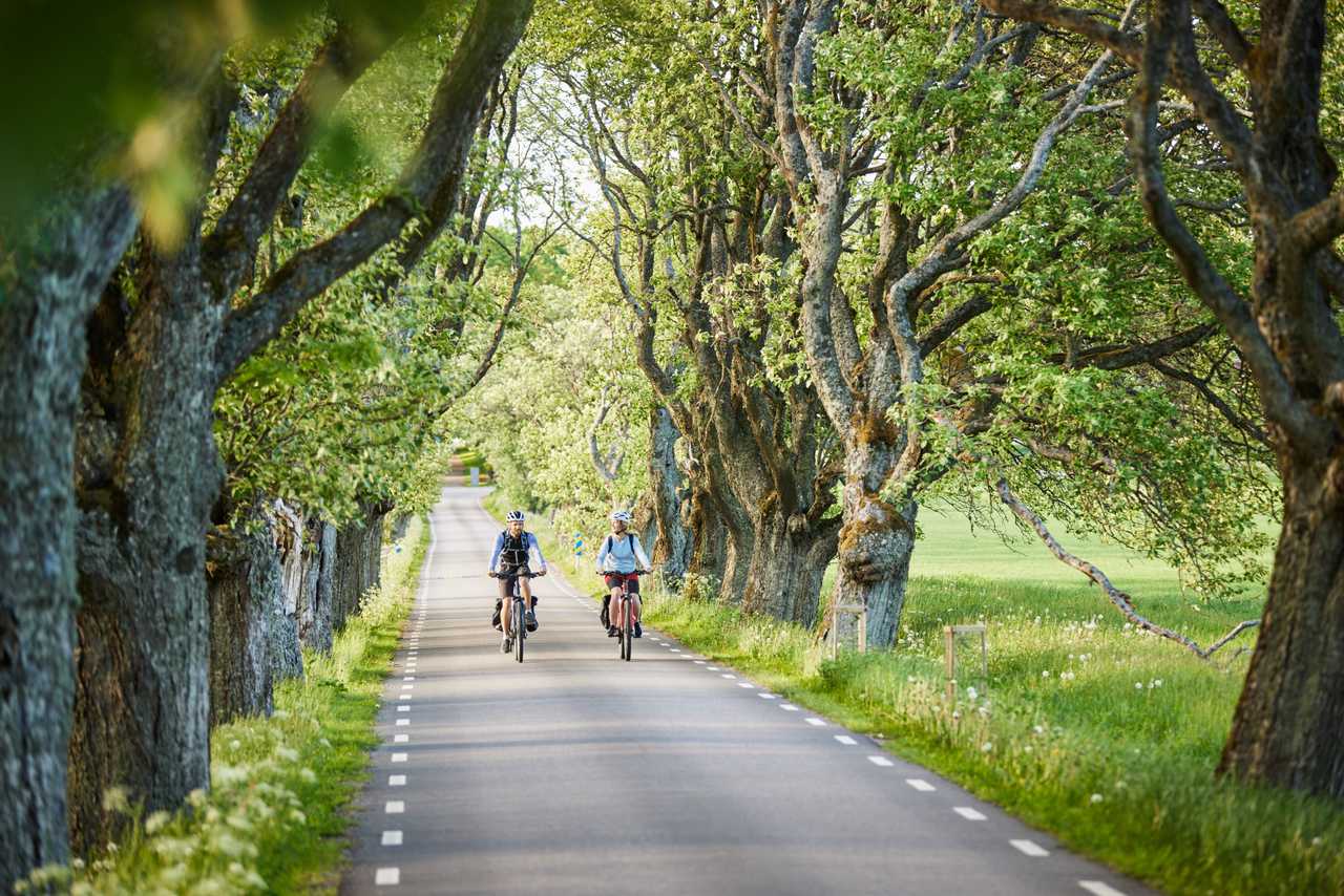 Are you here on a biking holiday? Please help us by answering a few questions